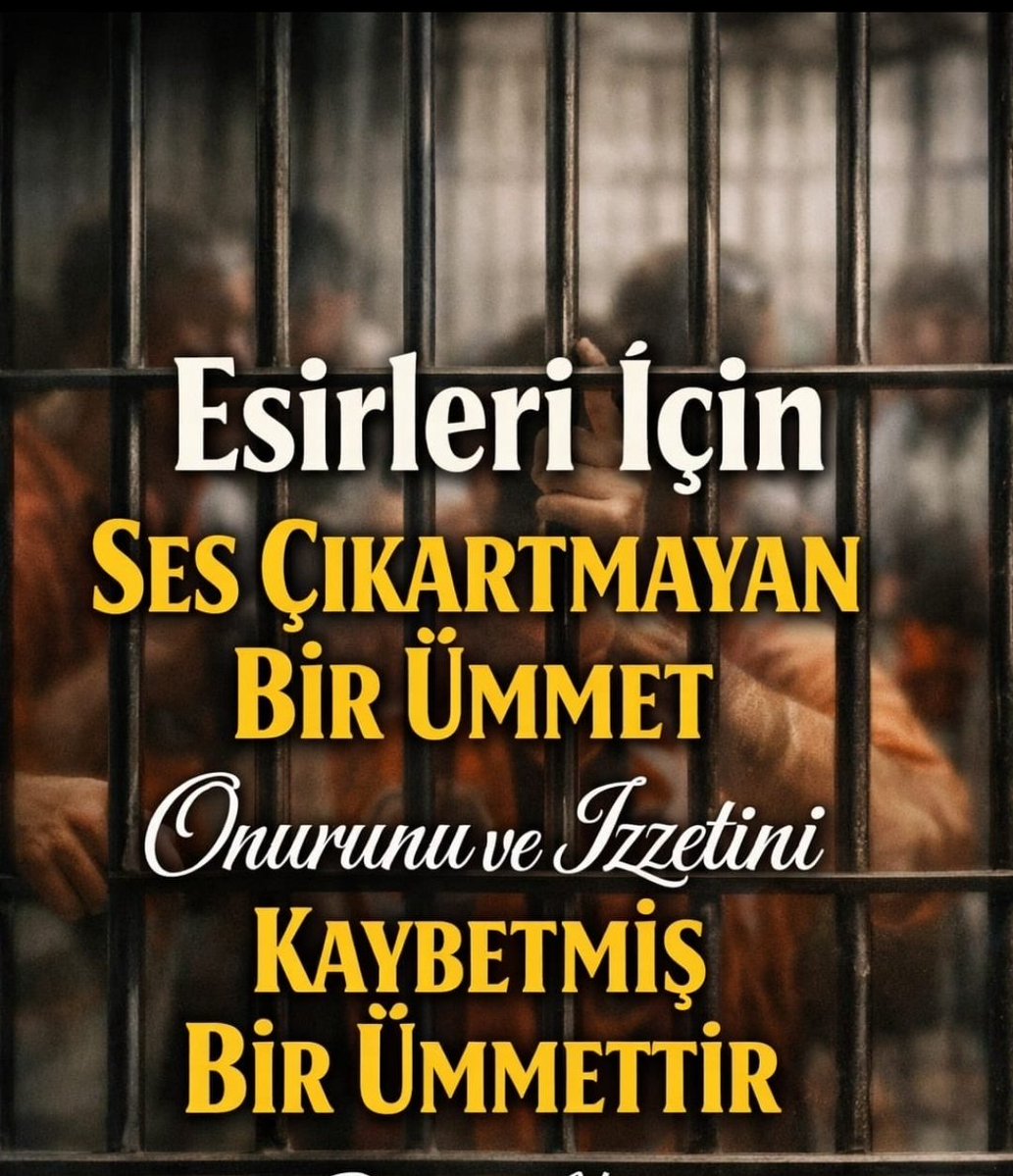 Ramazan Işık tweet media