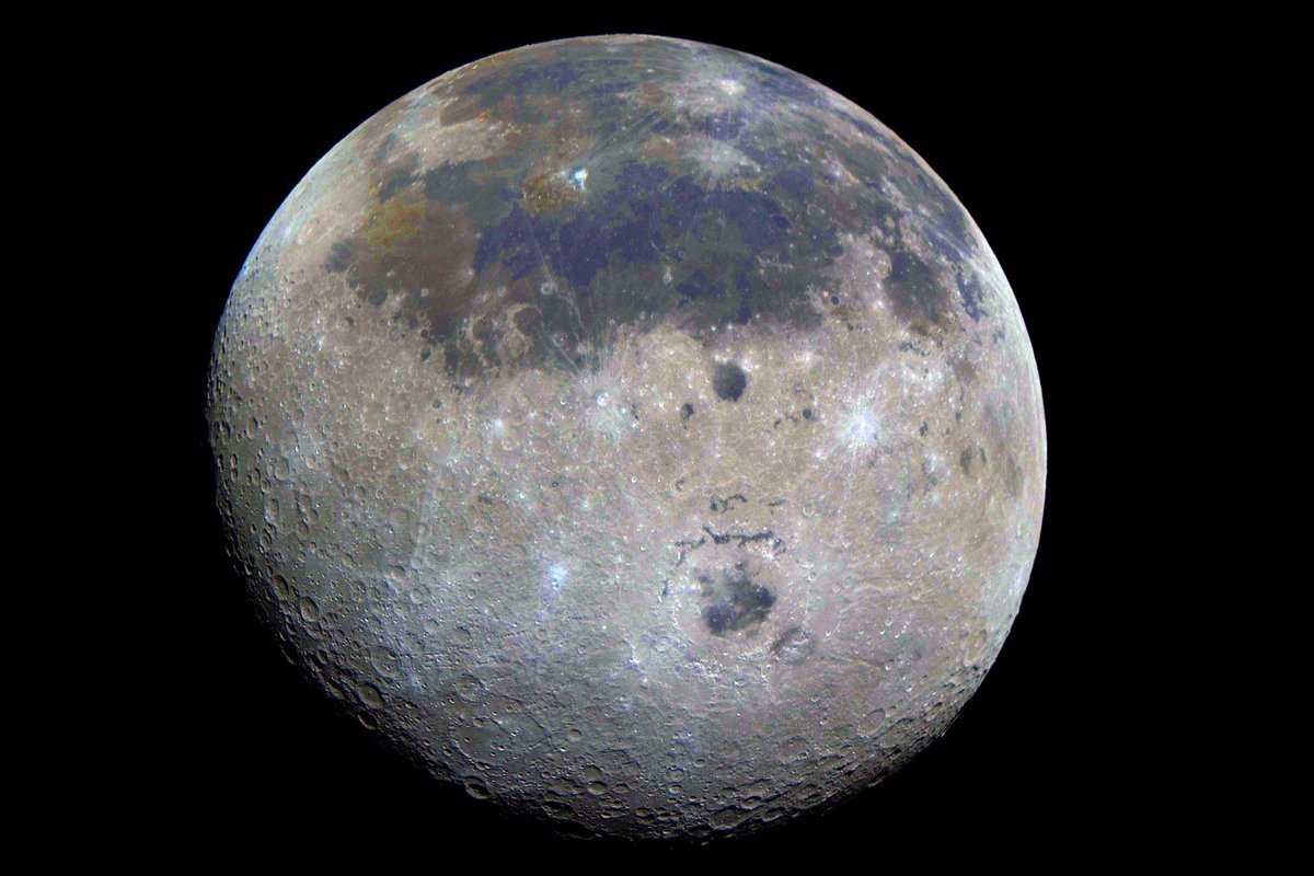 Curiosity tweet media