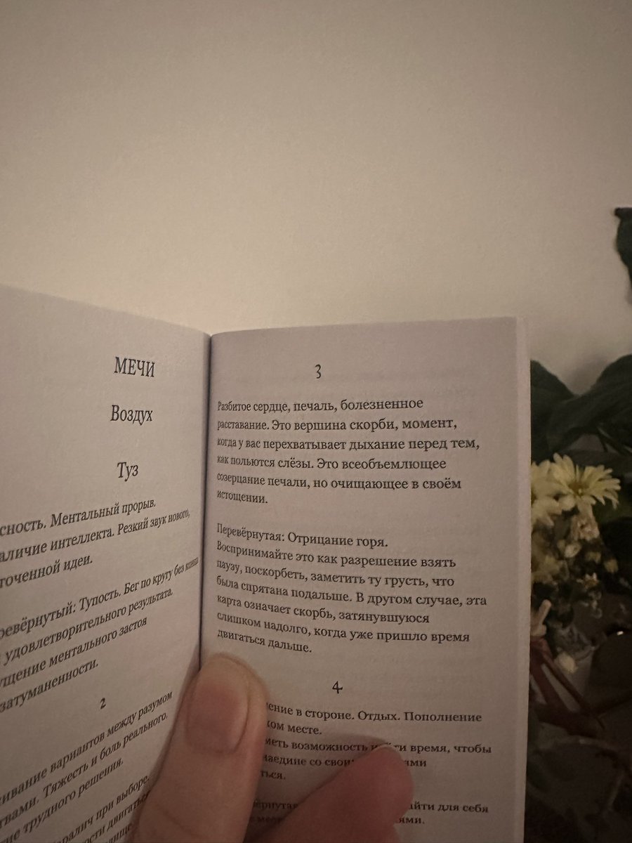 Сгущеночная крыса tweet media