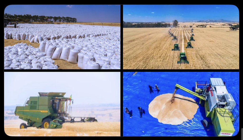 Abdirezak Sahane tweet media