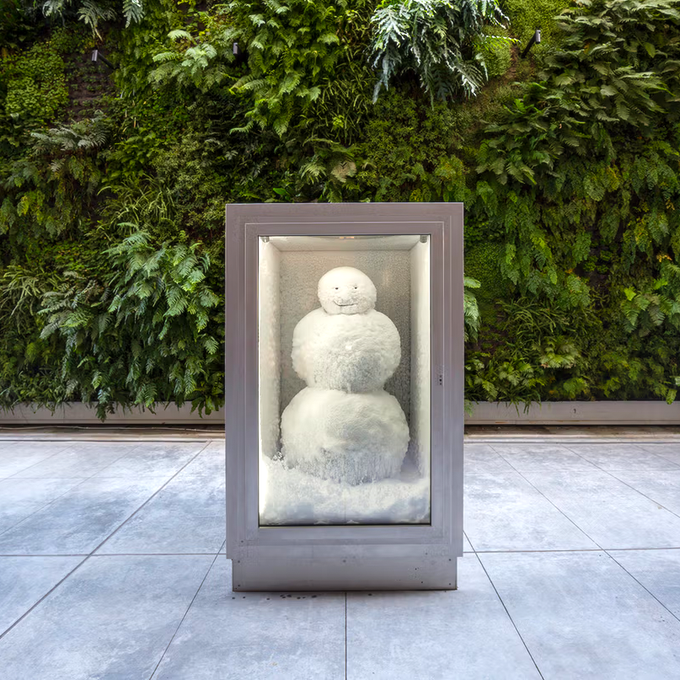 rare.jpg tweet media