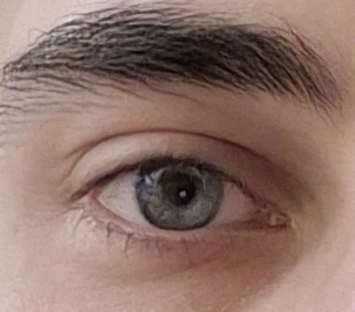 Punpun ( LoL Arc ) tweet media