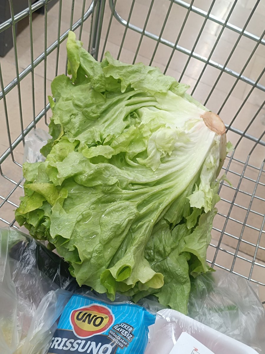 bilindikbbiri tweet media