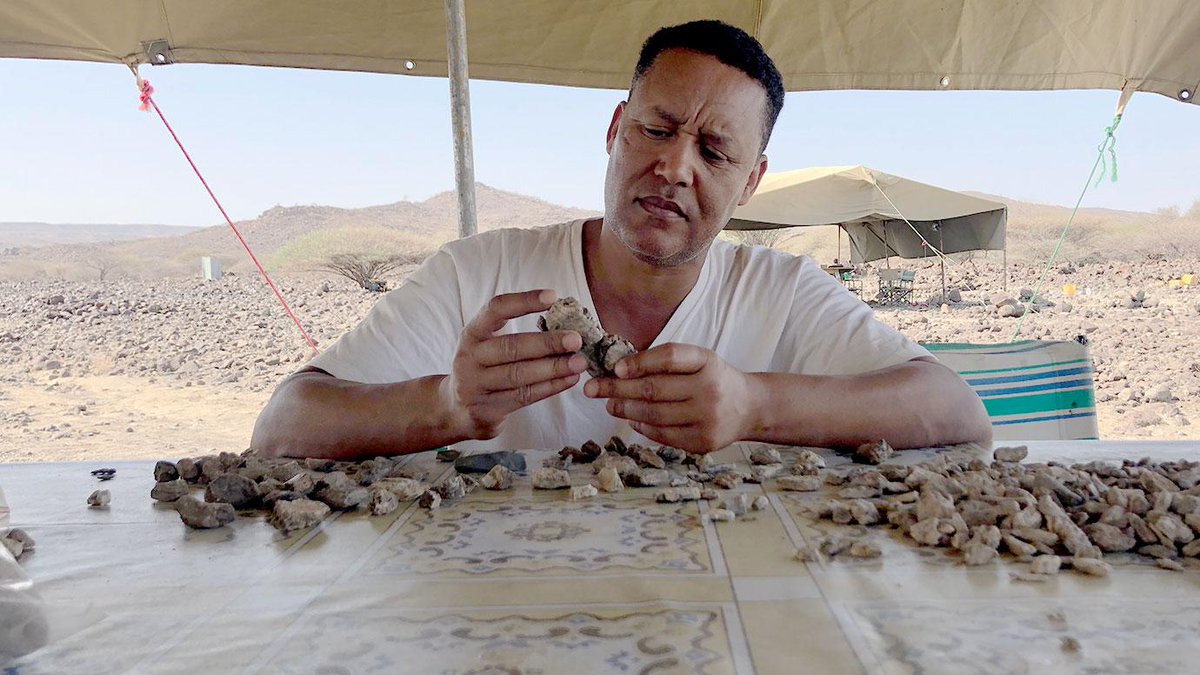 PaleoAnthropology tweet media