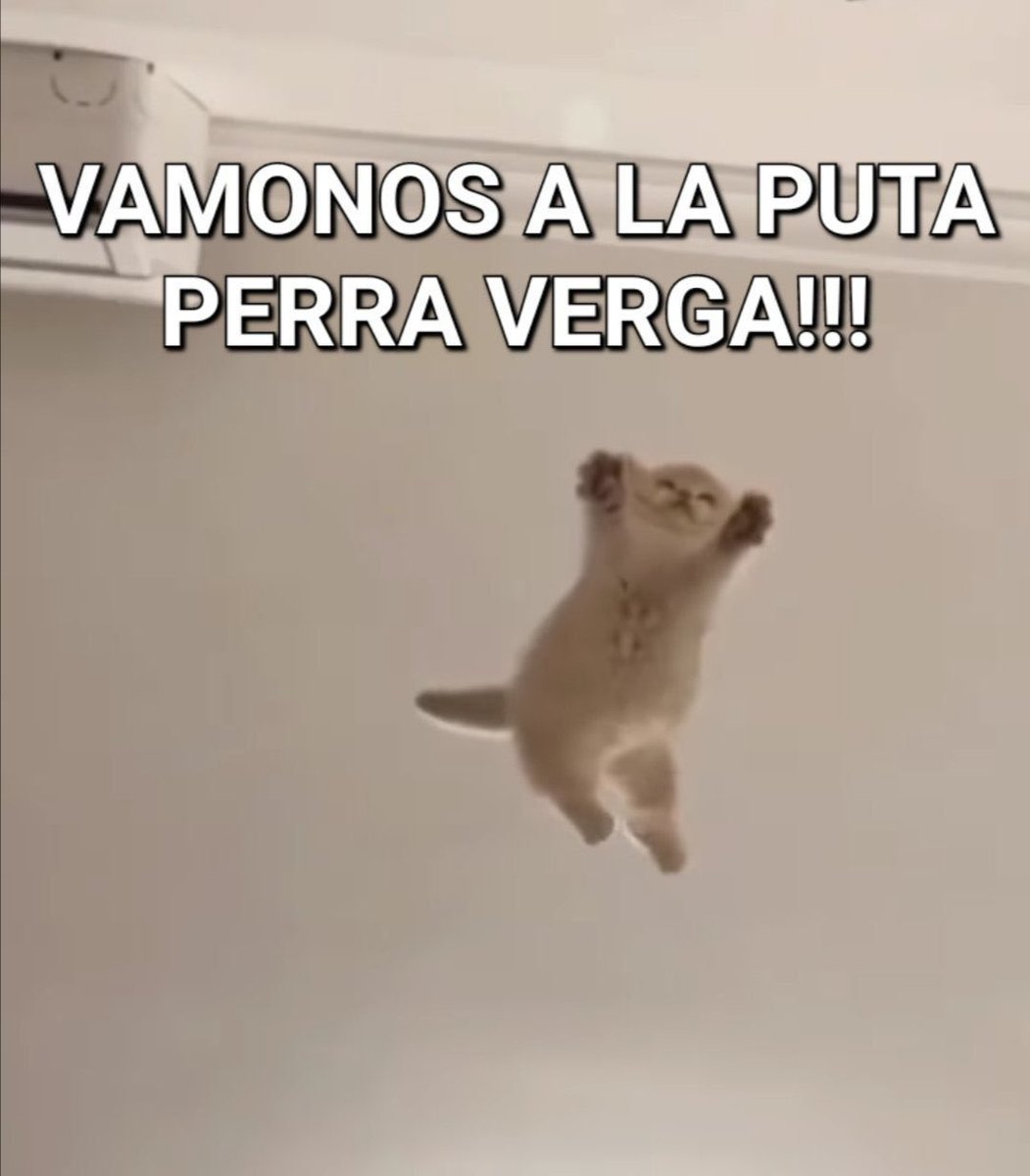 Don Cruz tweet media