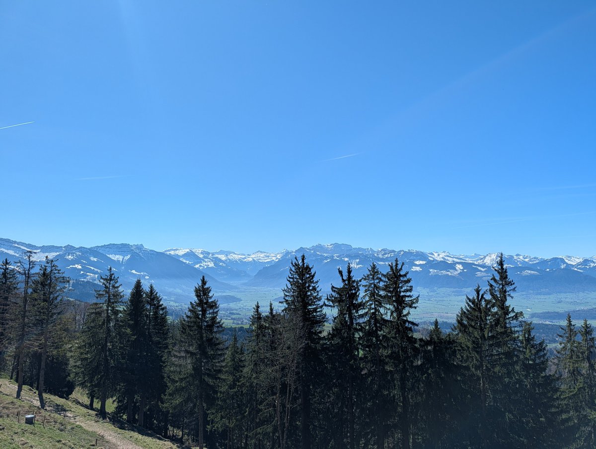 TheAltExec tweet media