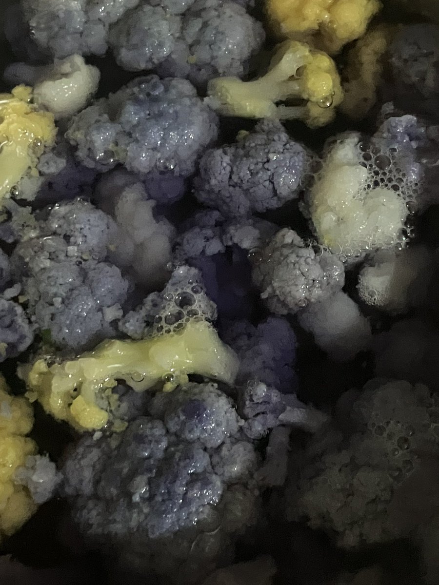 ayumi ꩜🍀 tweet media