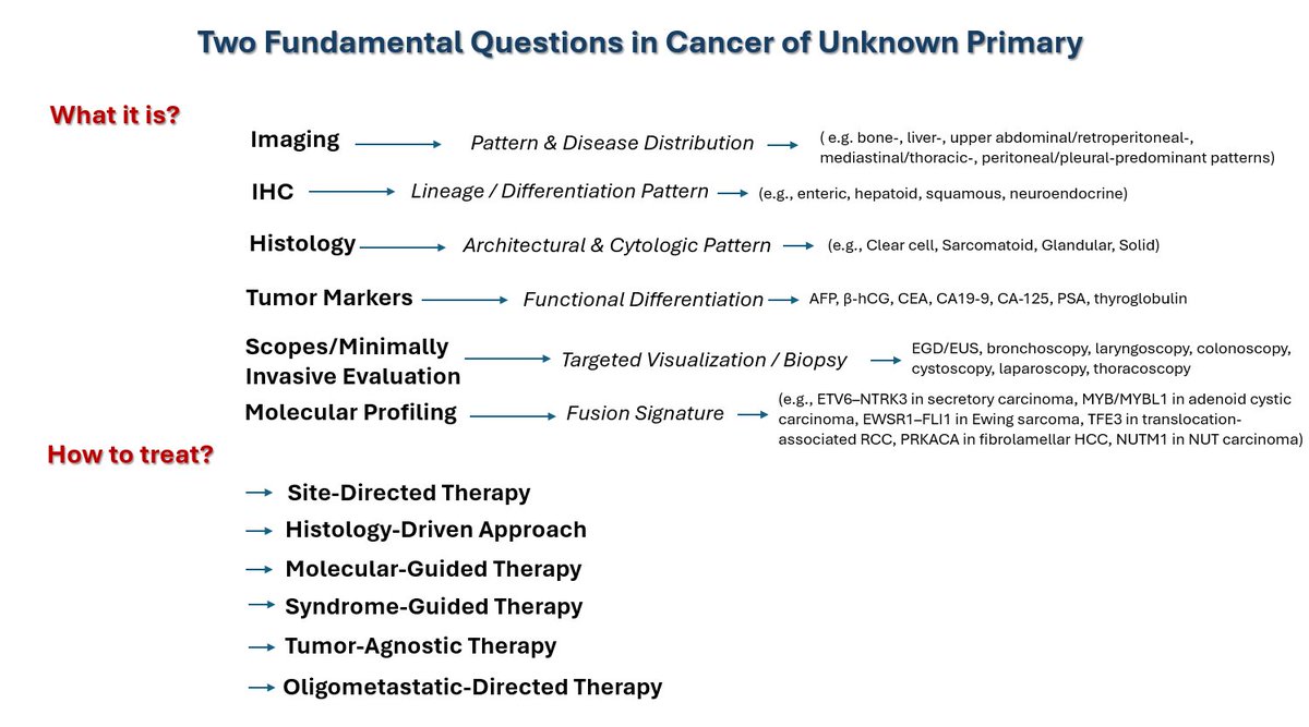OncBrothers's tweet photo. When it comes to Cancer of Unknown Primary, we are trying to answer “What it is” and “How to treat”? IHC markers (and NGS can help). Two main slides by @OncoThor and @hfuentesbayne that we refer to during our CUP treatment algorithm discussion!

#OncTwitter #MedX https://t.co/Qy7FXtt2jh
