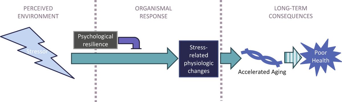Brandon Luu, MD tweet media