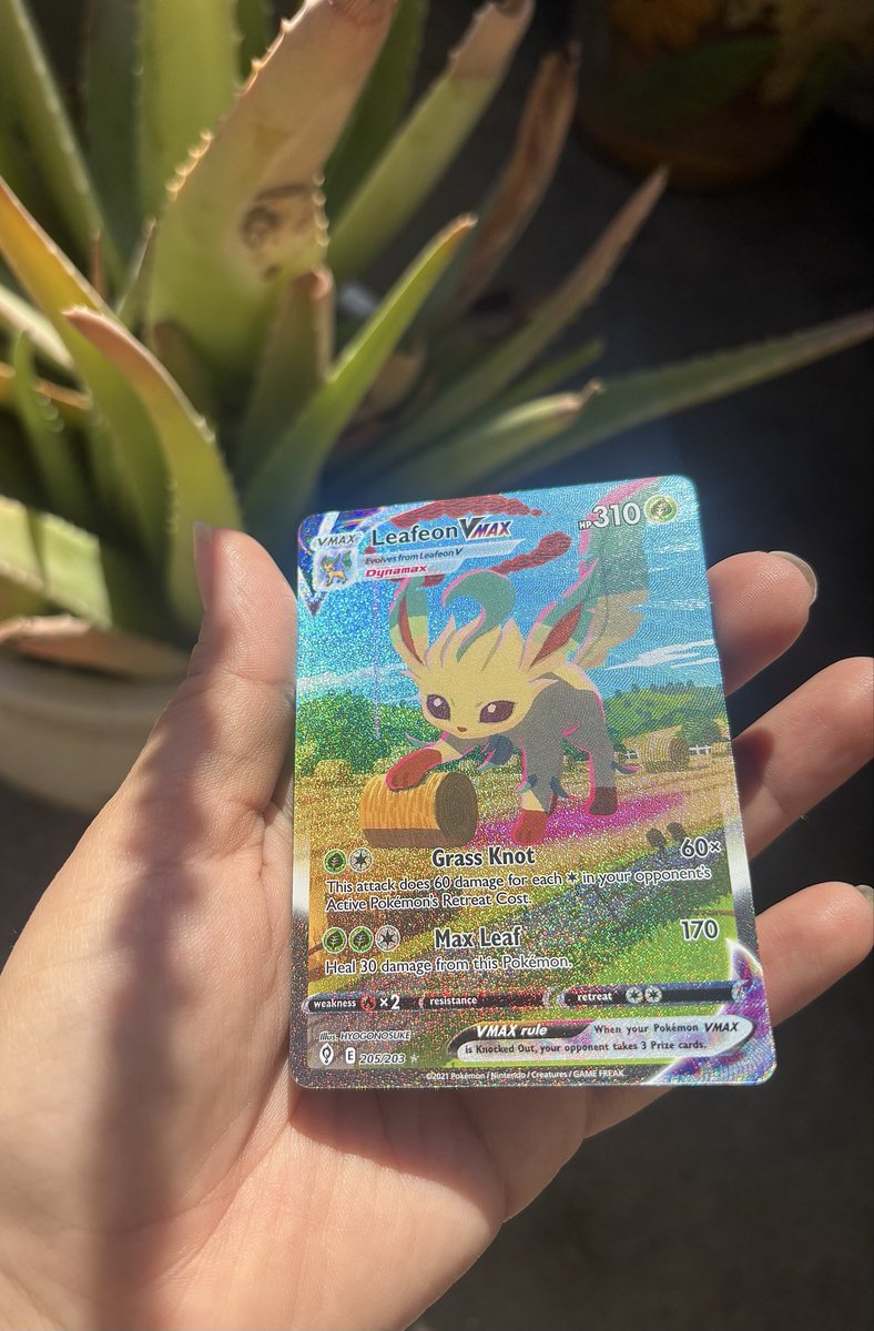 airwreck ☀️ tweet media