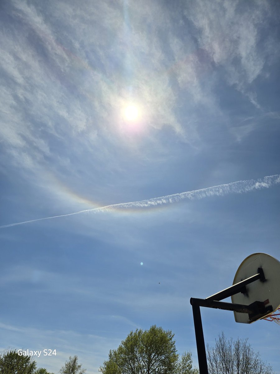 Zach James(MAGA Dog) tweet media