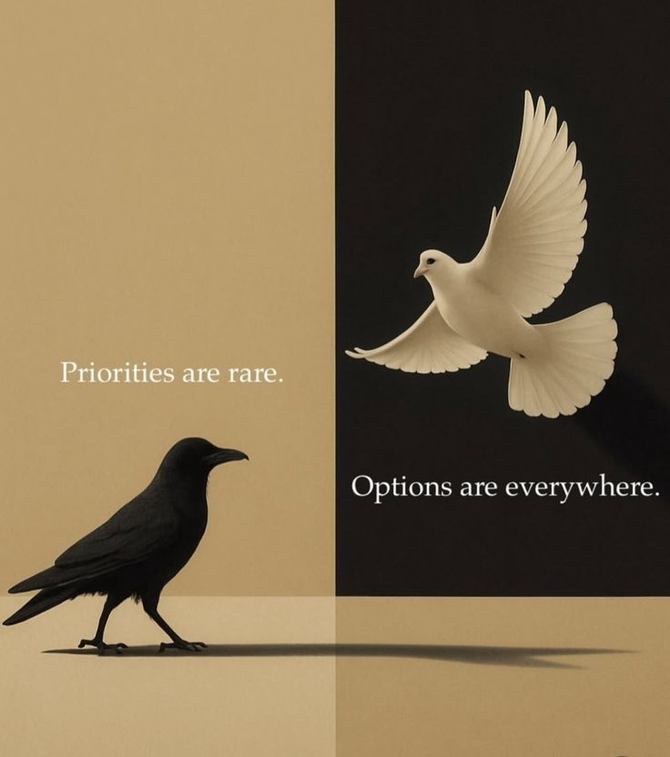 Motivation (@dotheworknoww) on Twitter photo 