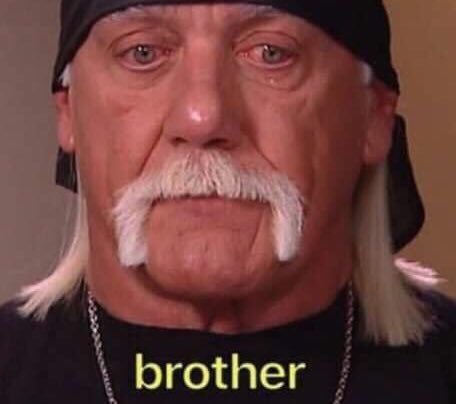 bro.fun tweet media