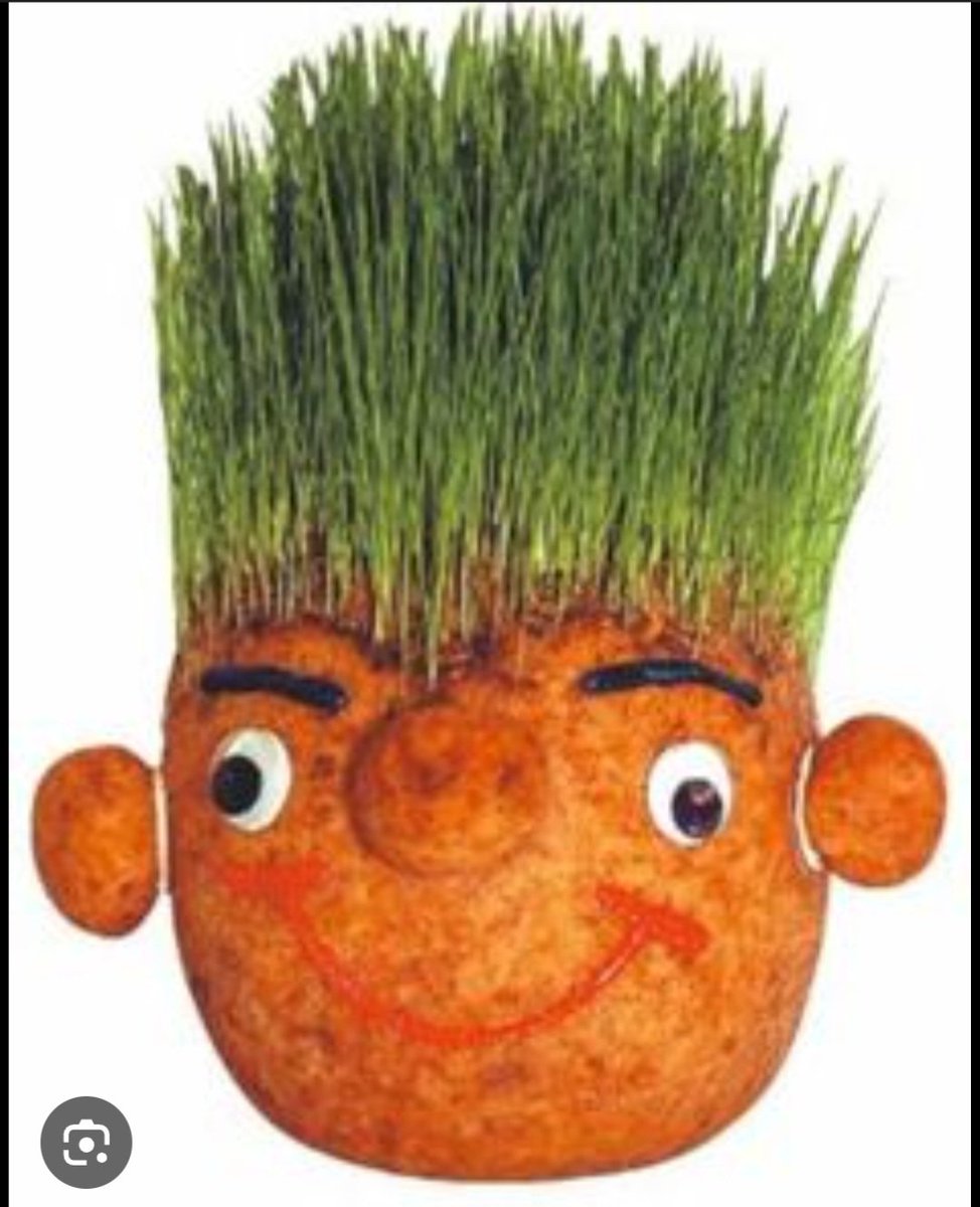 Camilo Falchi tweet media