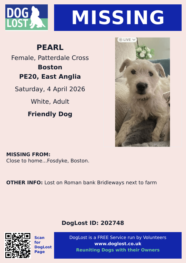 chris towers tweet media