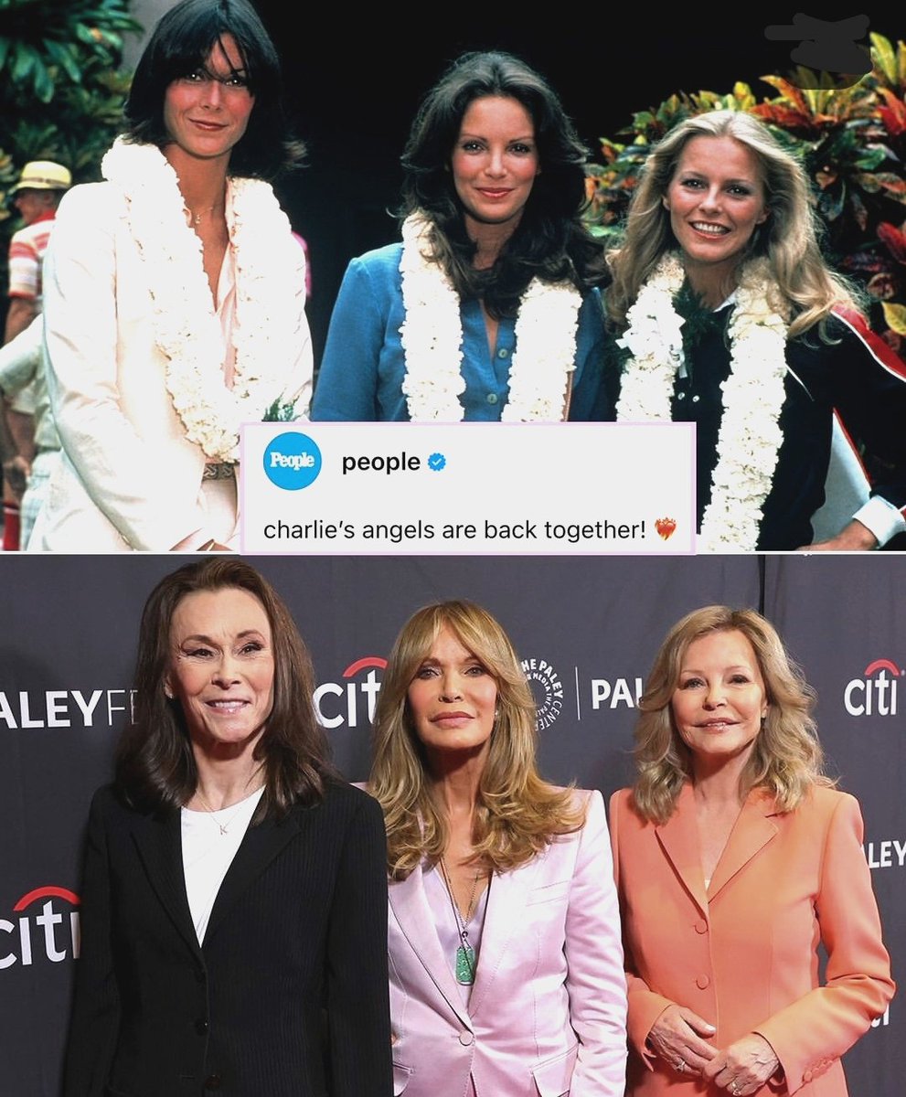 Blue Belle 🌟 tweet media