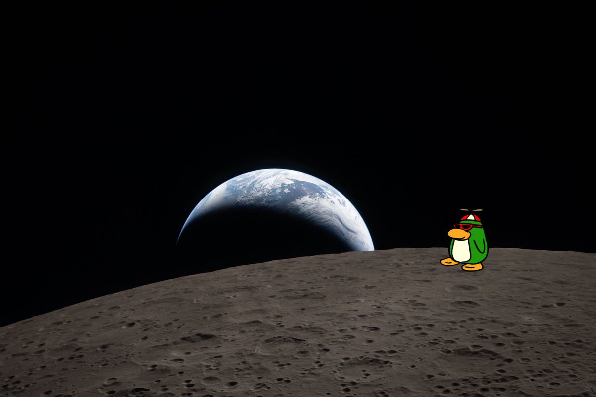 ZekerToons 🌱✨ tweet media