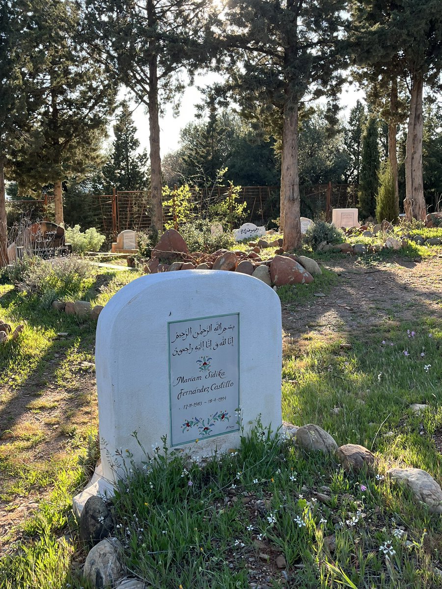 alaa🇲🇦 tweet media