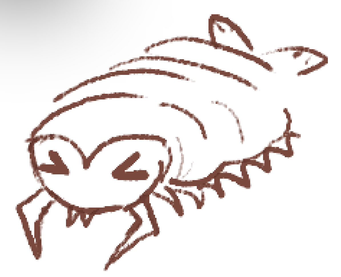 💚jaybird ★☀︎♪🧡 tweet media