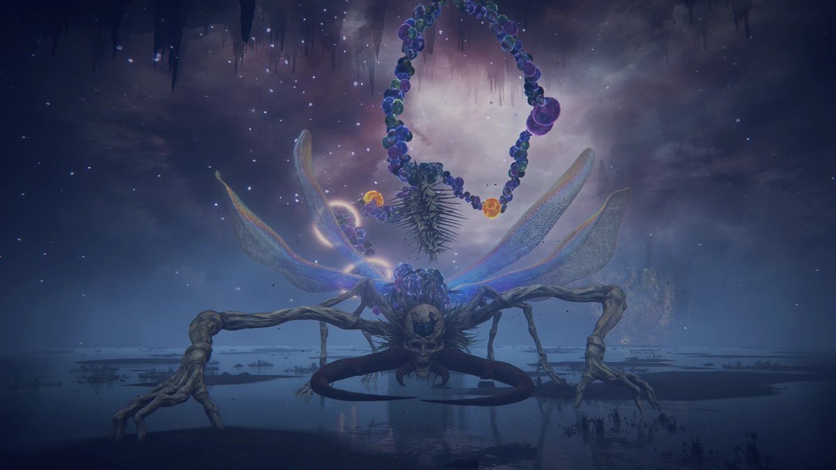 هيثم🗣️ tweet media