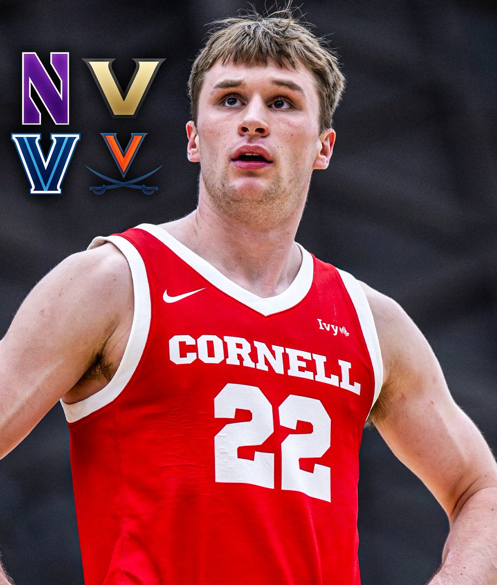 College Basketball Content tweet media