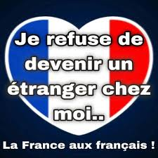 Napo Léon tweet media