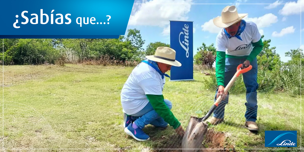 Linde México tweet media