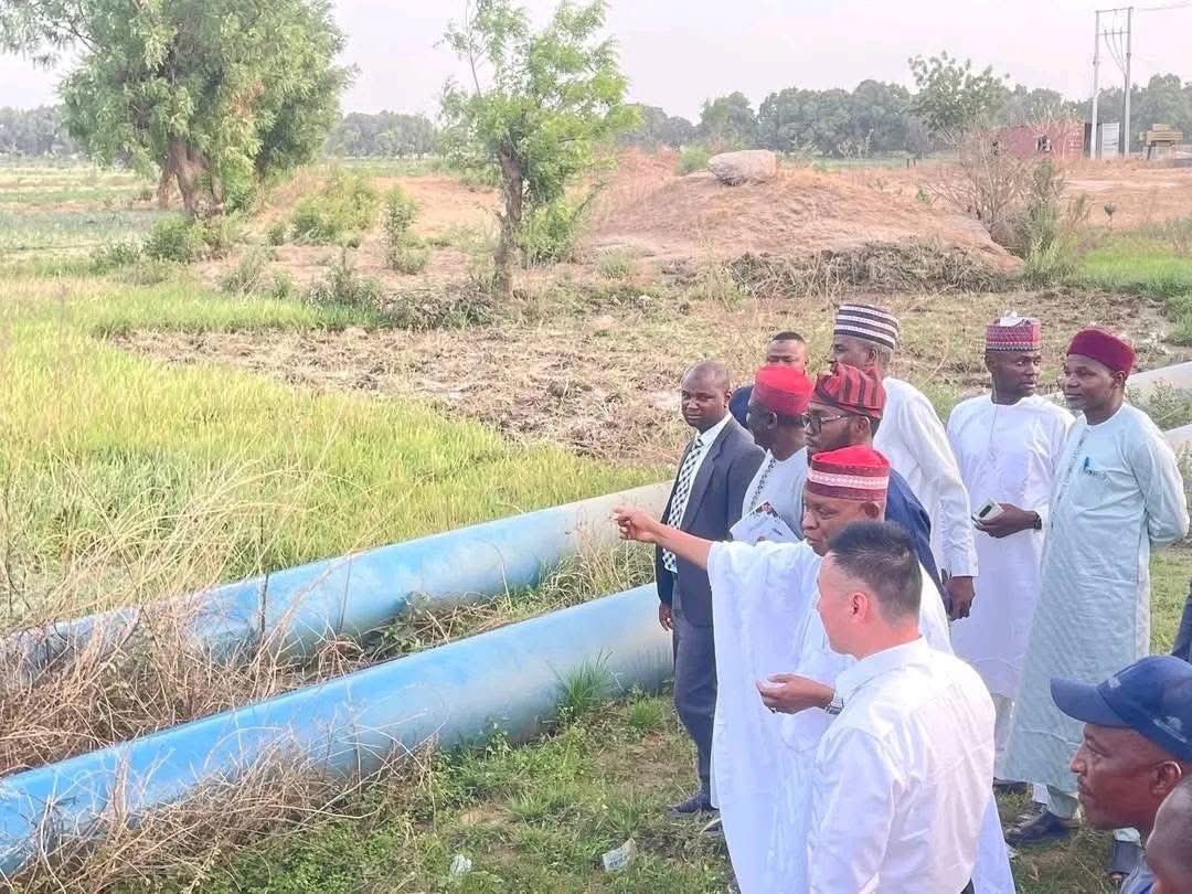 Hon. Red Pen ❗️ tweet media