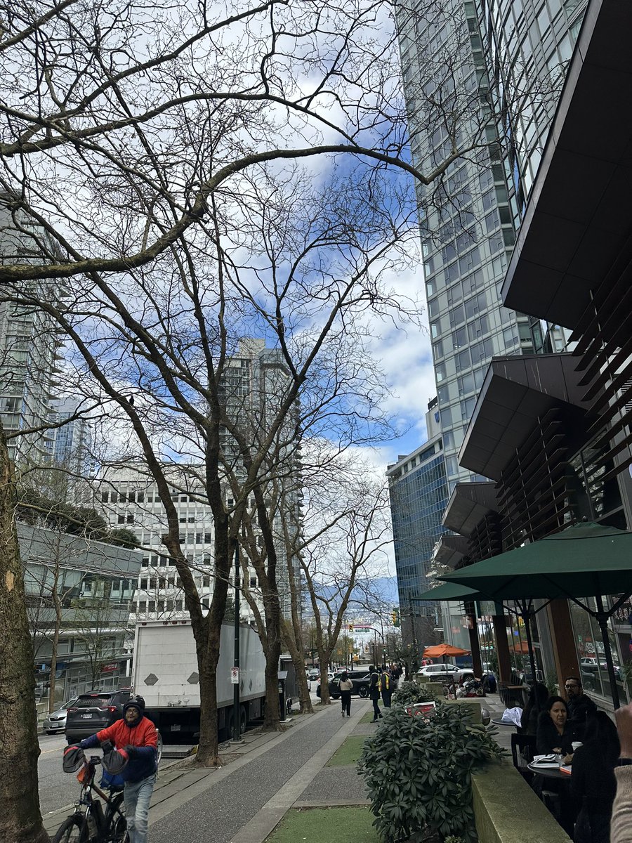 黄河边 tweet media