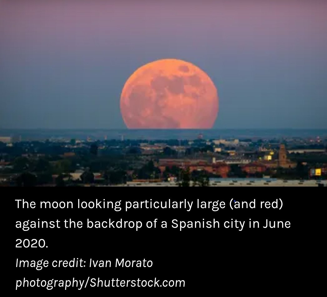 larrysheckell's tweet photo. @VincenzoPala @NASAArtemis I'm a dummy, but my assumption is that it could be the same phenomenon as on Earth when looking at the moon. It looks much larger when it's closer to the horizon. I think it's called the "moon illusion." I guess you could call that the "Earth Illusion"? https://t.co/HWNKLD0WuE