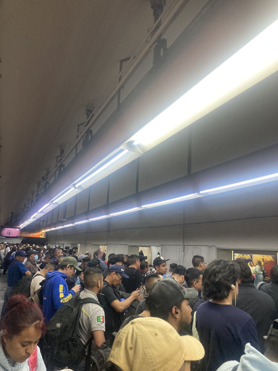 DORA MARIN tweet media