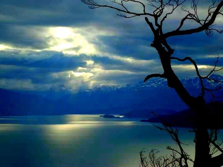 Andrés Gillmore Evers tweet media