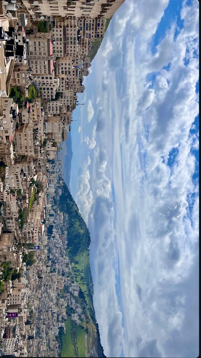 د.لوليتا 𓂆🇵🇸 tweet media