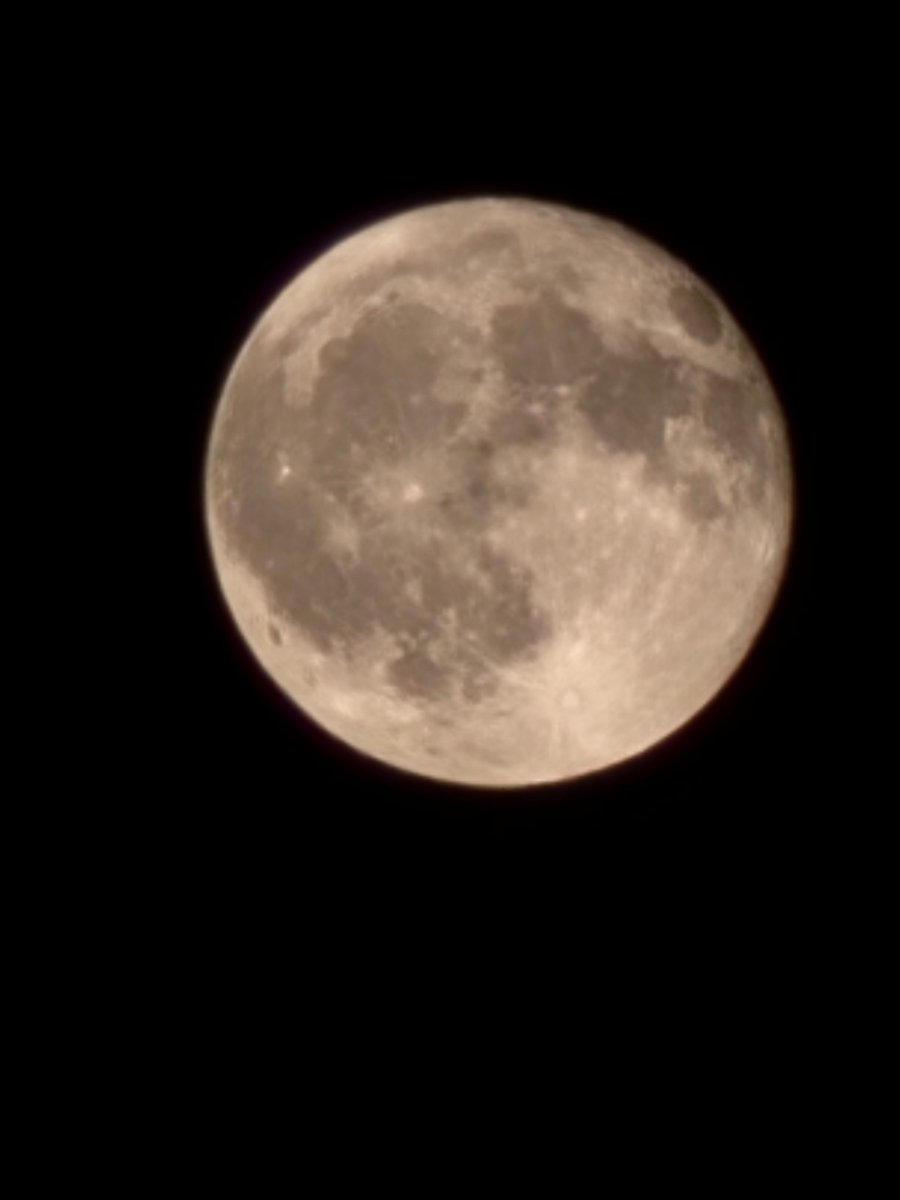 Paul Campbell tweet media