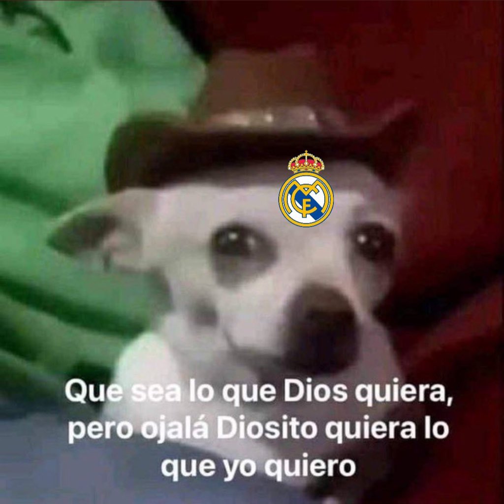 lucía 🩷 tweet media