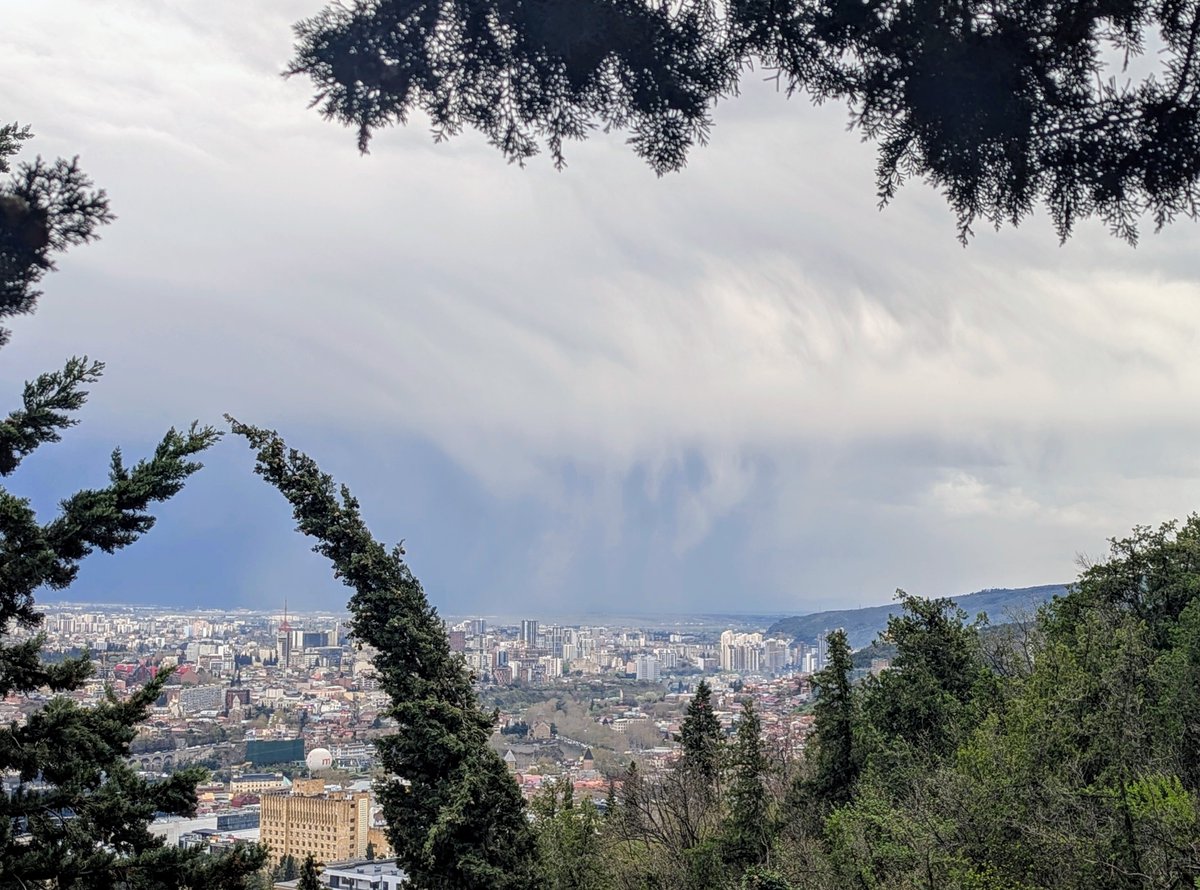 Things I see tweet media