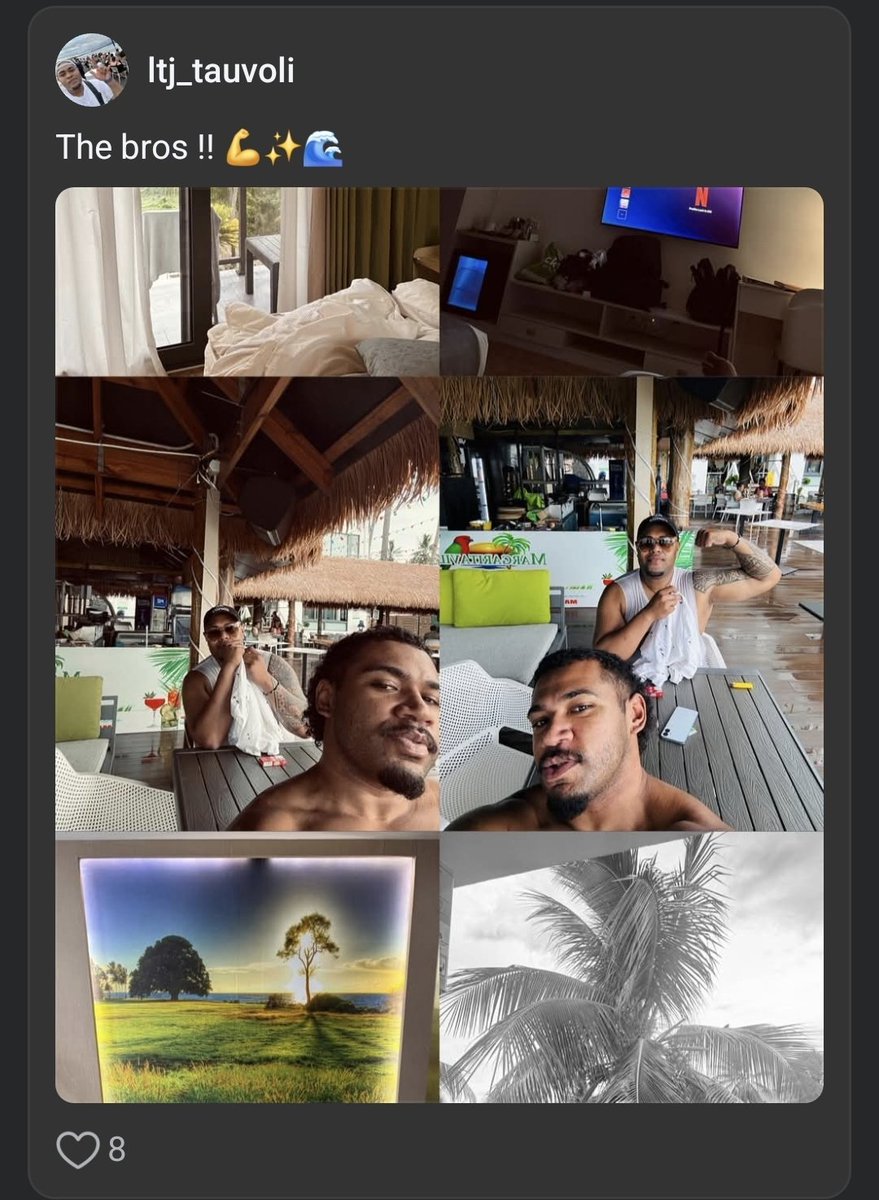 Josh Liga tweet media
