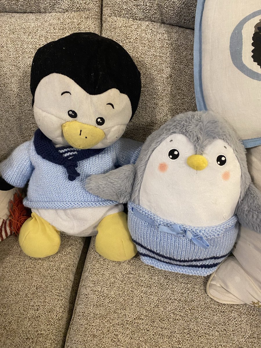Perry the Penguin tweet media