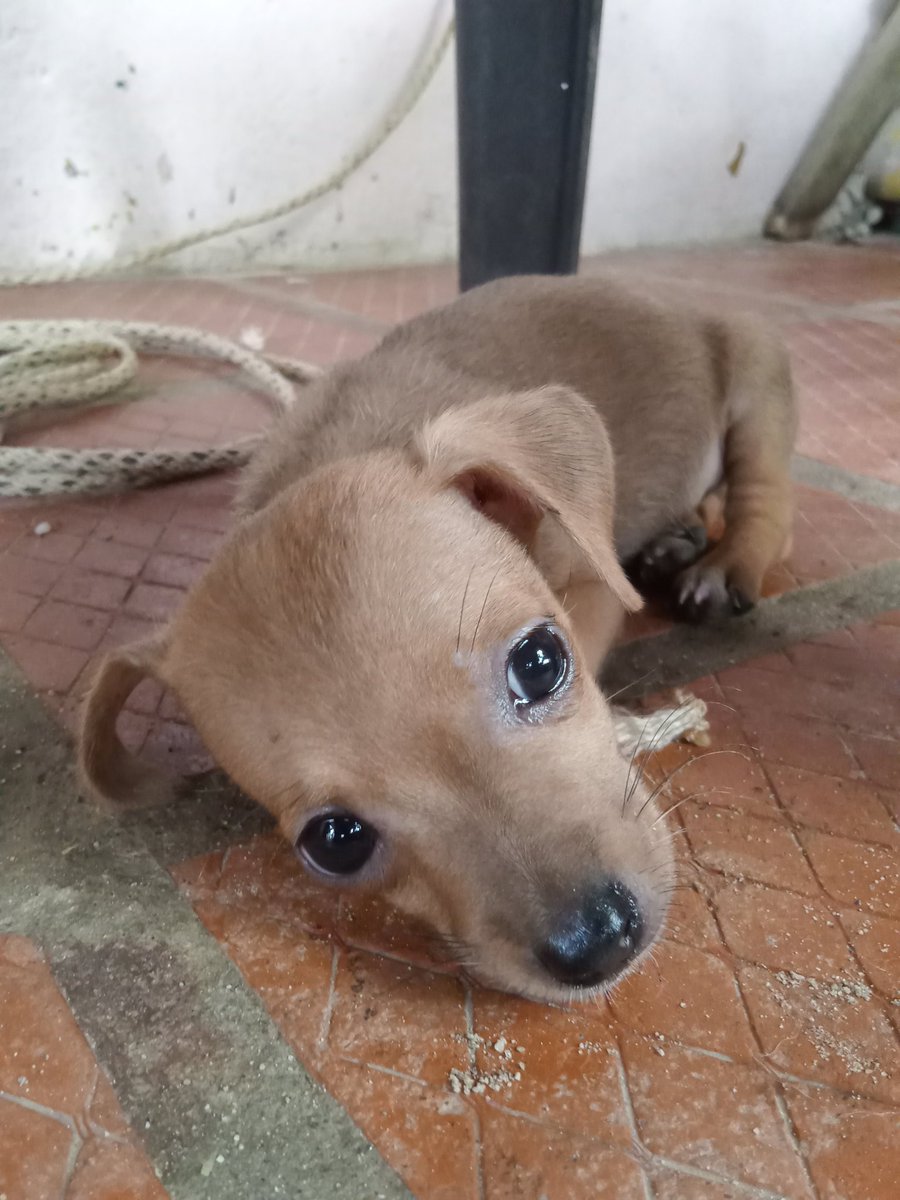 César_M__ tweet media