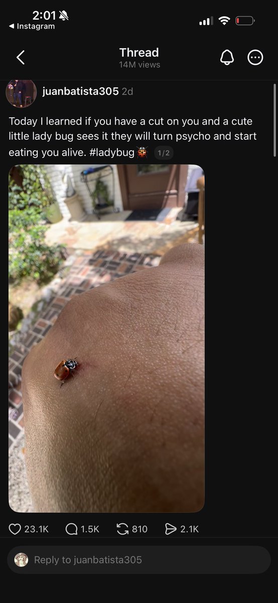 ࣪ ˖ kayde tweet media