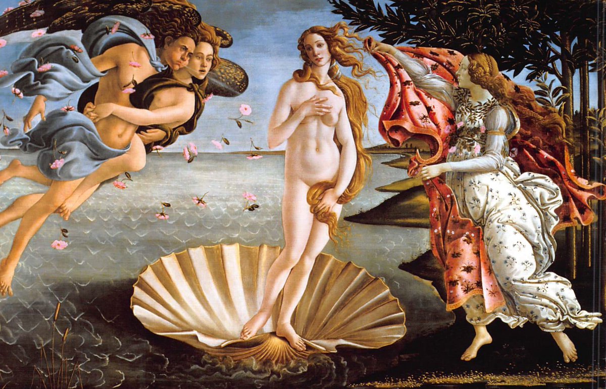 ꧁ TATSUYA ꧂ tweet media