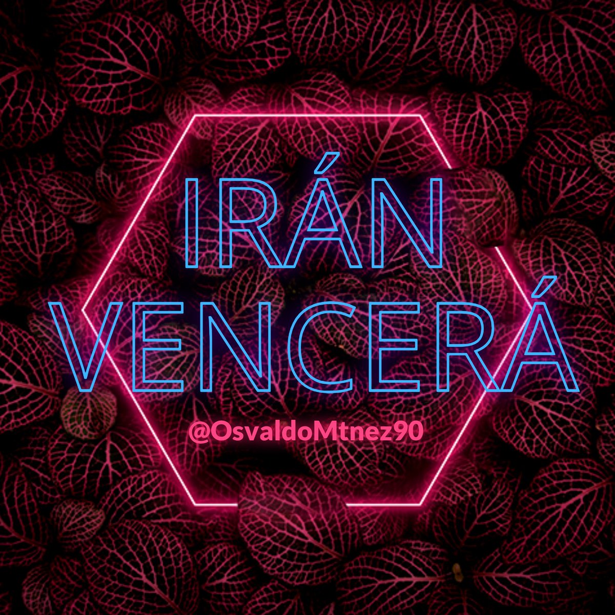 Osvaldo Martínez 𝕏 🇵🇸 tweet media