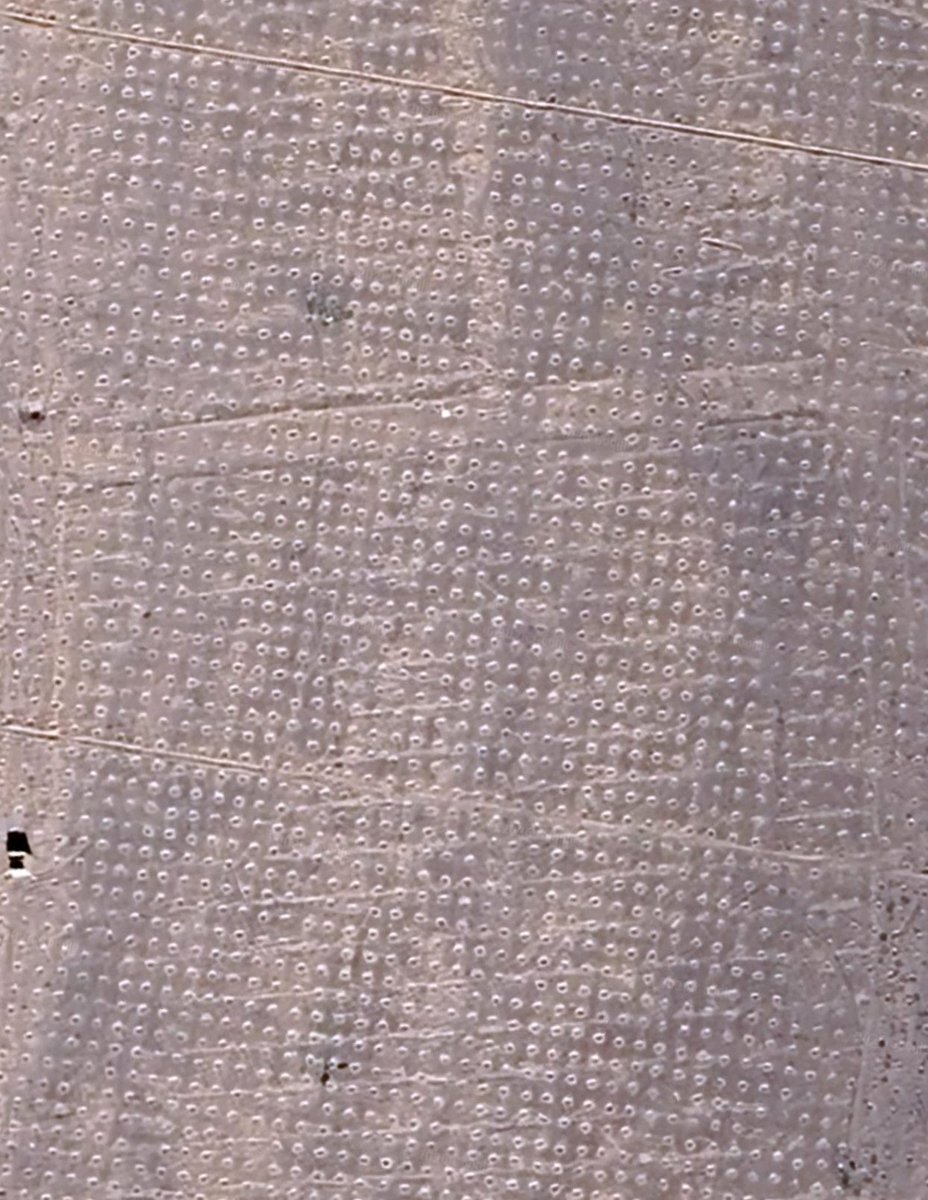 اریک tweet media