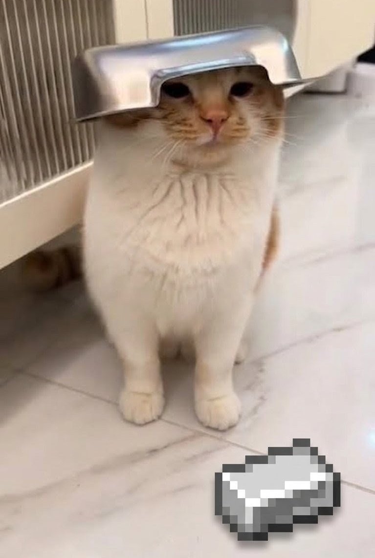 Maruzo 🐉🏔️ tweet media