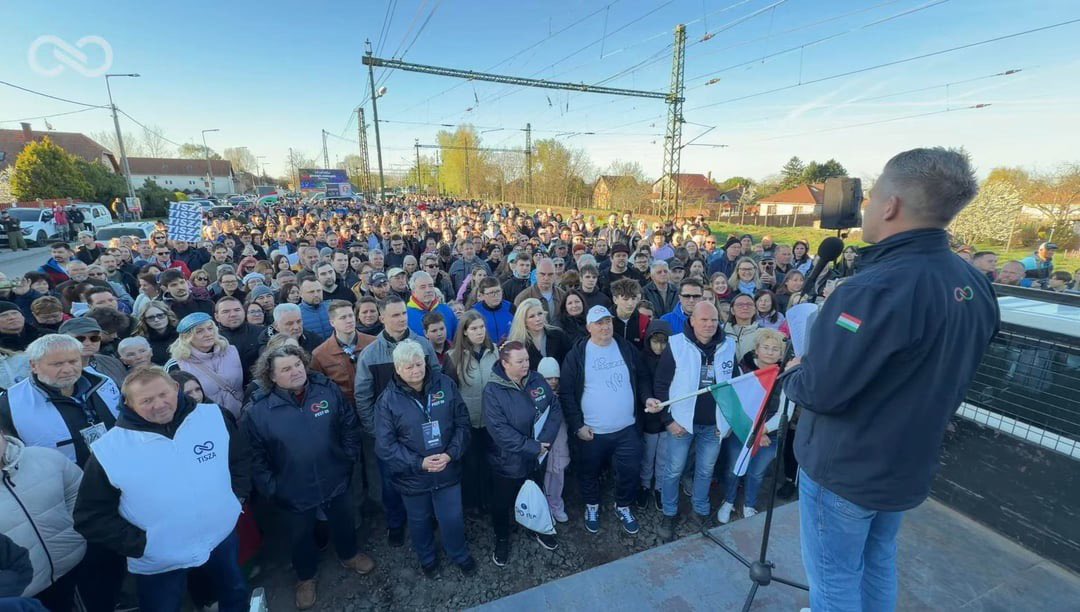 ˚ʚ♡ɞ˚ tweet media