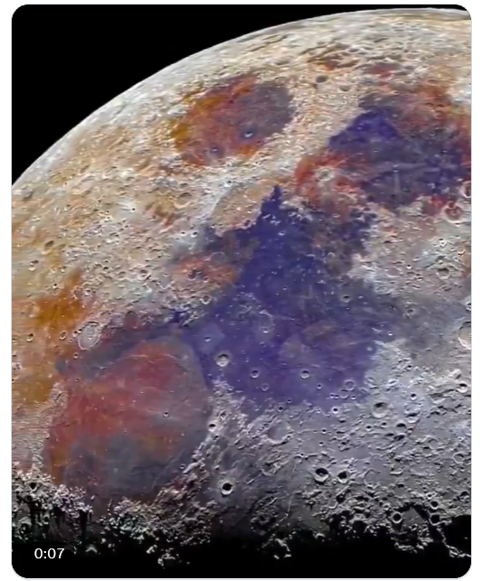 MyHamster🐹🐹🐹 tweet media