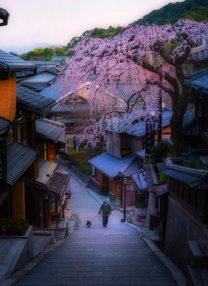 JAPAN 🇯🇵 tweet media