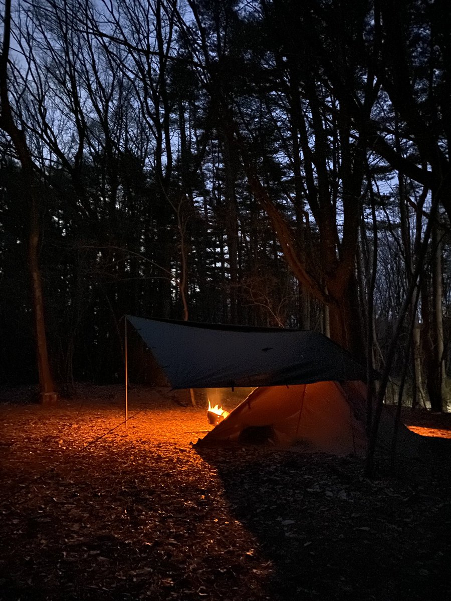 たもCAMP🏕 tweet media