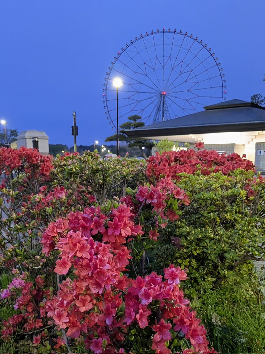 7hitoshi tweet media