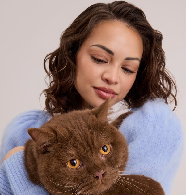 BMA Models tweet media